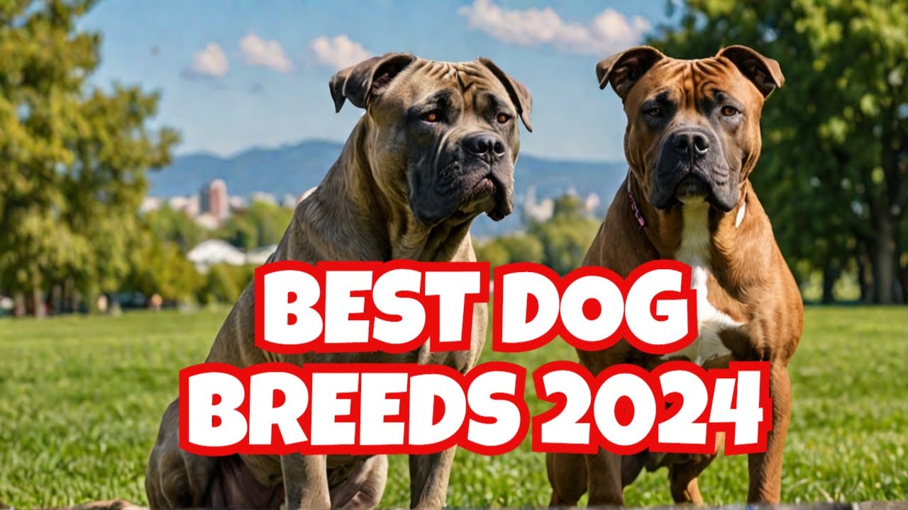 Best Dog Breeds for Families in 2024: Top 10 Choices