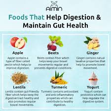 Foods for a Healthy Digestive